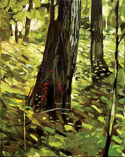 The Seymour Giant