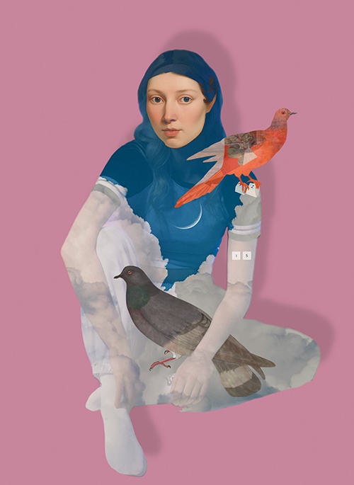 The Pigeon’s Plight