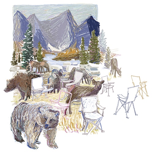 Grizzly Truth