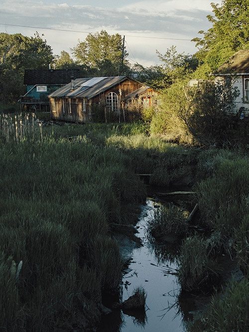 Saving Finn Slough